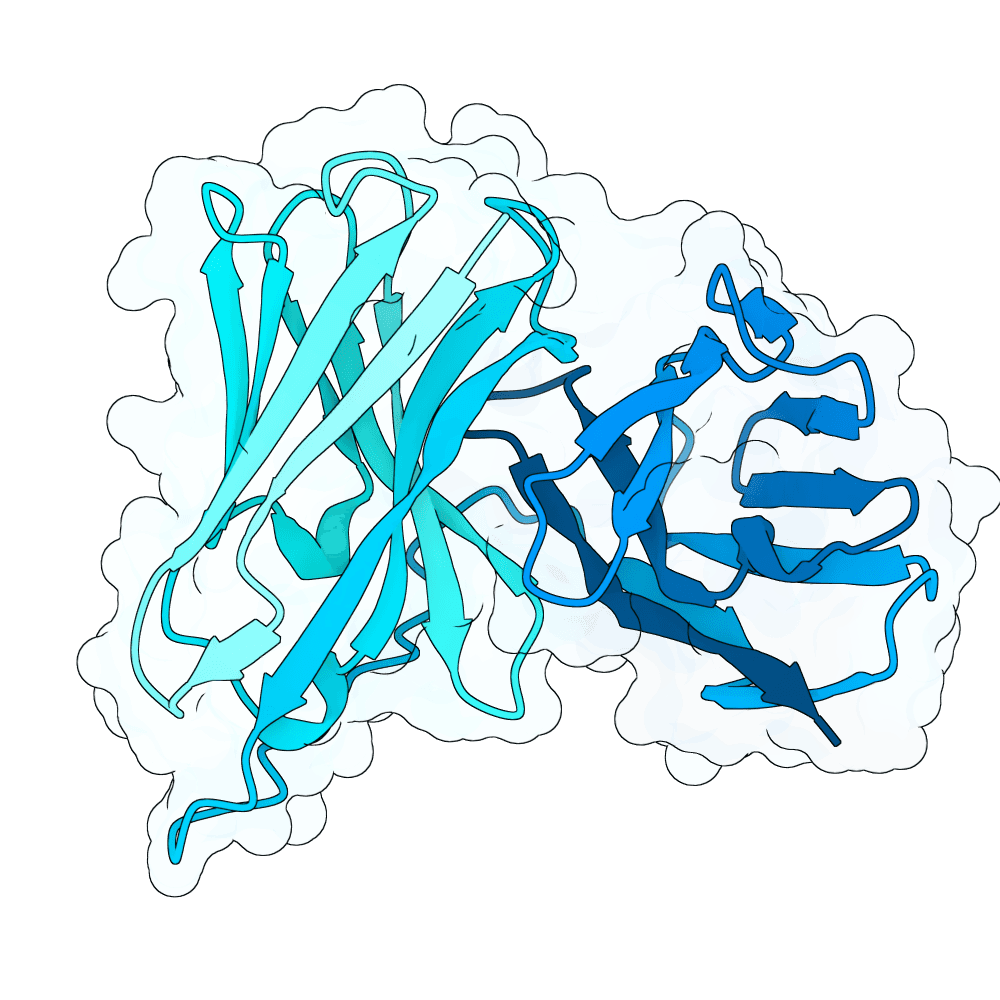 lunar-zebra-topaz