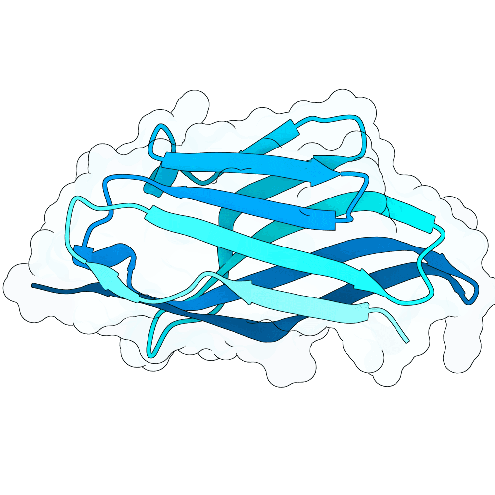 noble-bat-topaz