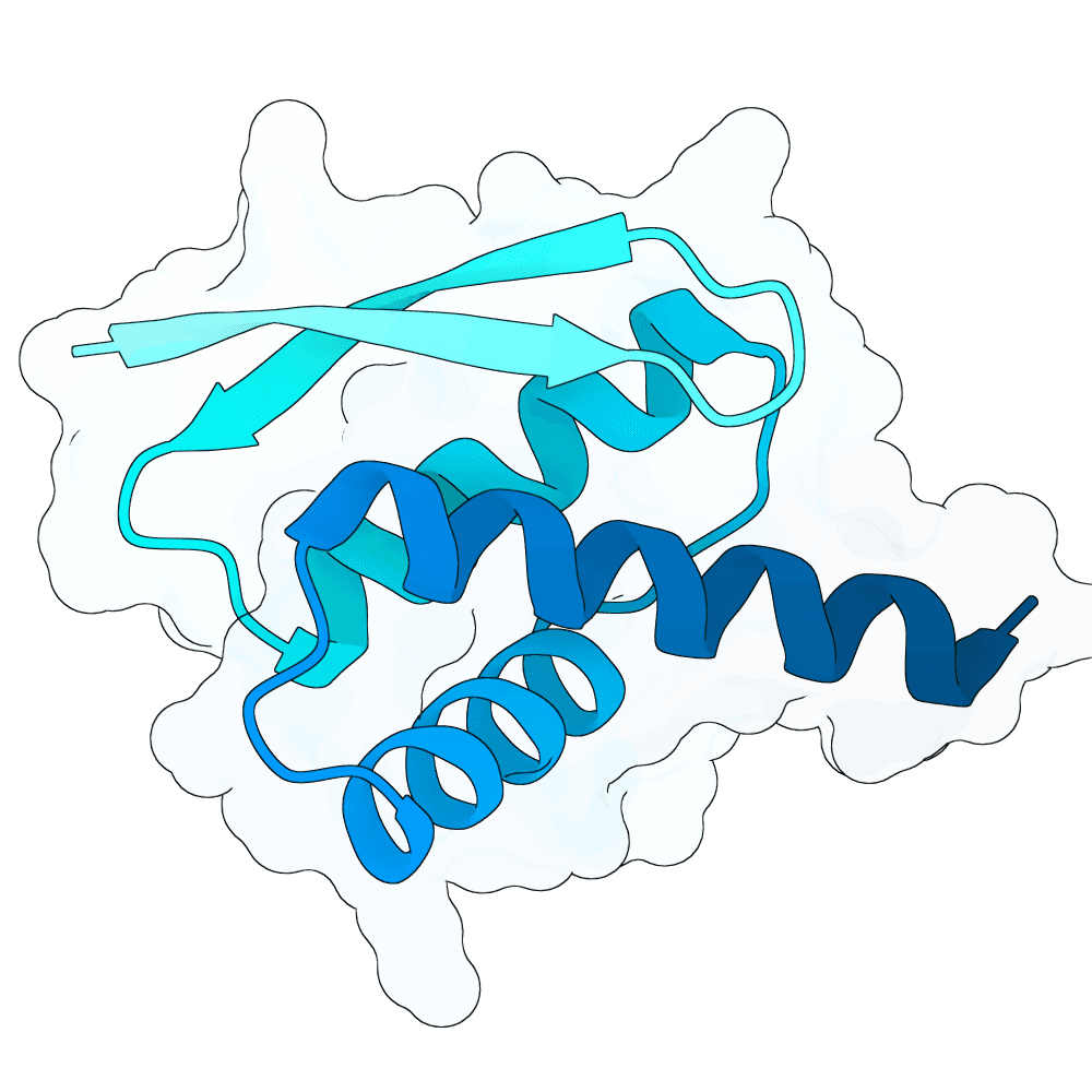 Protein preview dark-otter-sand