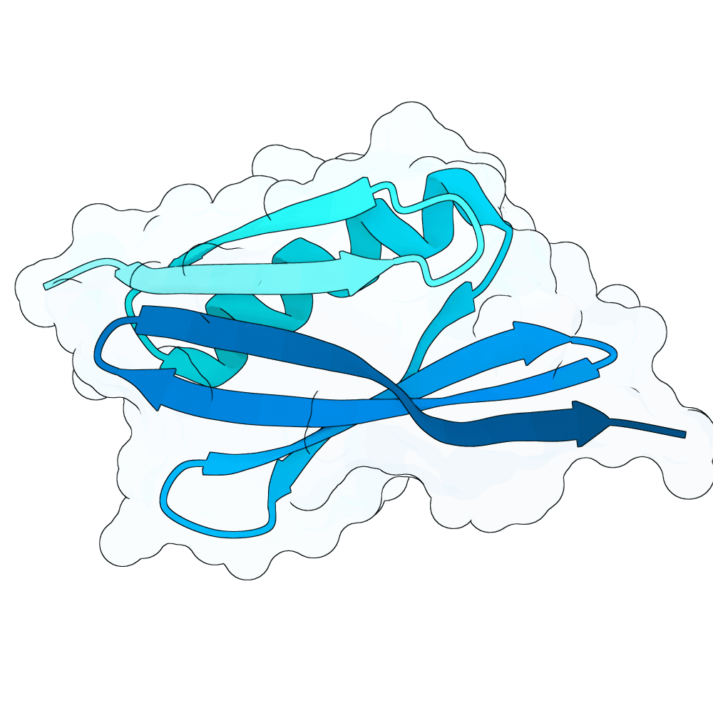 Protein preview silver-seal-clay
