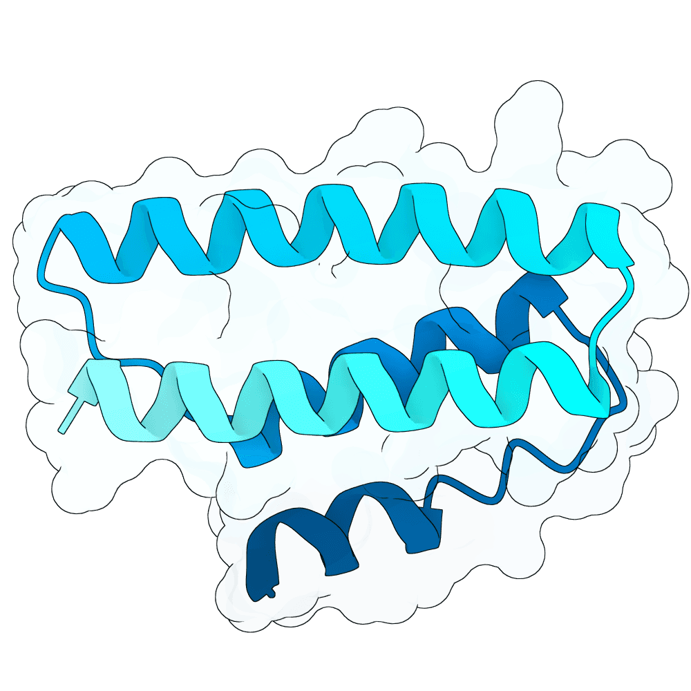 Protein preview soft-ox-clay